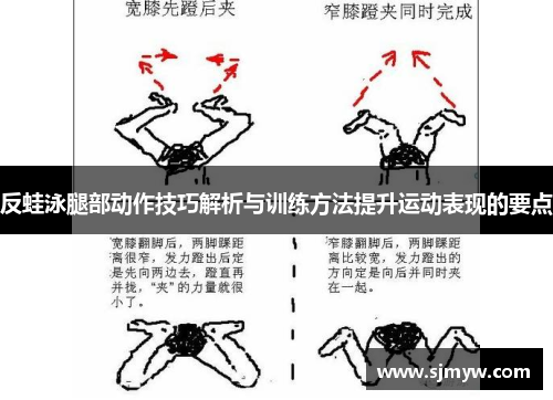 反蛙泳腿部动作技巧解析与训练方法提升运动表现的要点