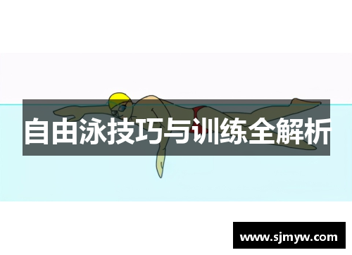 自由泳技巧与训练全解析
