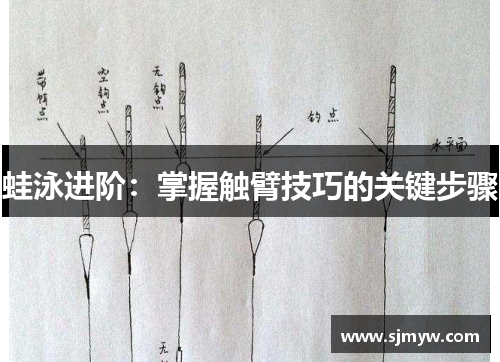 蛙泳进阶：掌握触臂技巧的关键步骤